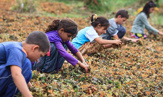 Mevsimlik tarım işçisi çocuklar eğitime kazandırılıyor! - Genel - URFA DEĞİŞİM GAZETESİ